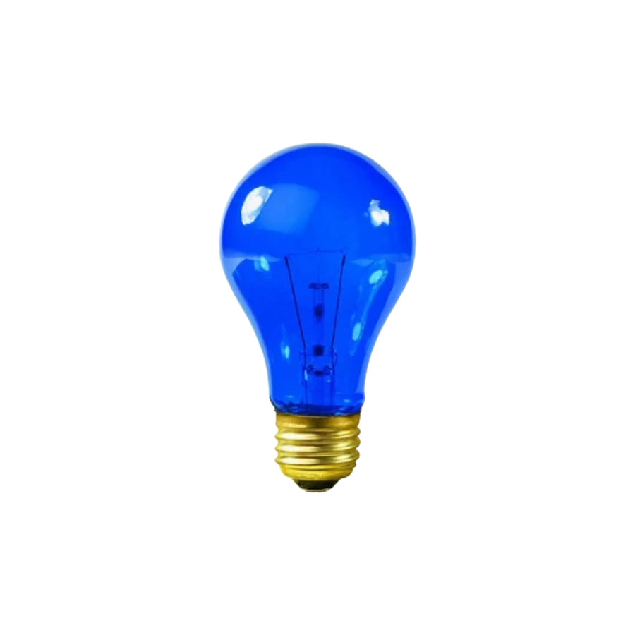 25 Watt Medium Screw 120v Blue Lamp