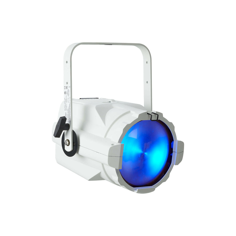 CS FRESNEL V XLR ETL W/MVERSE SILVER